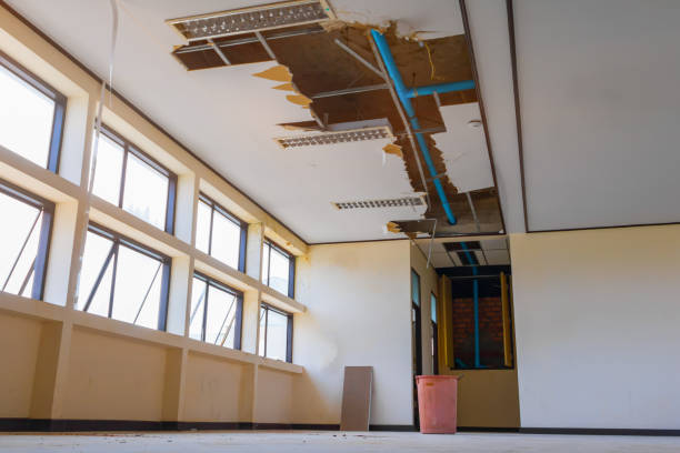 Best 24/7 water damage repair  in Riverview, DE