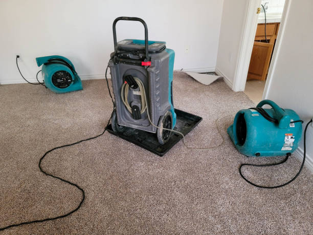  Riverview, DE Water damage restoration Pros