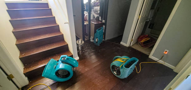 Best Mold removal after water damage  in Riverview, DE
