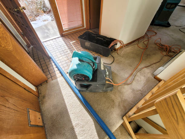 Best Fire Damage Restoration  in Riverview, DE