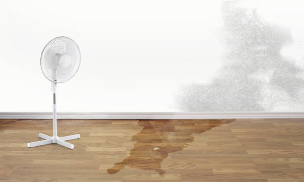 Best Commercial water damage restoration  in Riverview, DE
