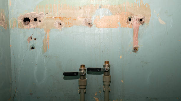 , DE Water damage restoration Company