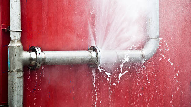 Best Sewage cleanup and water damage restoration  in Riverview, DE